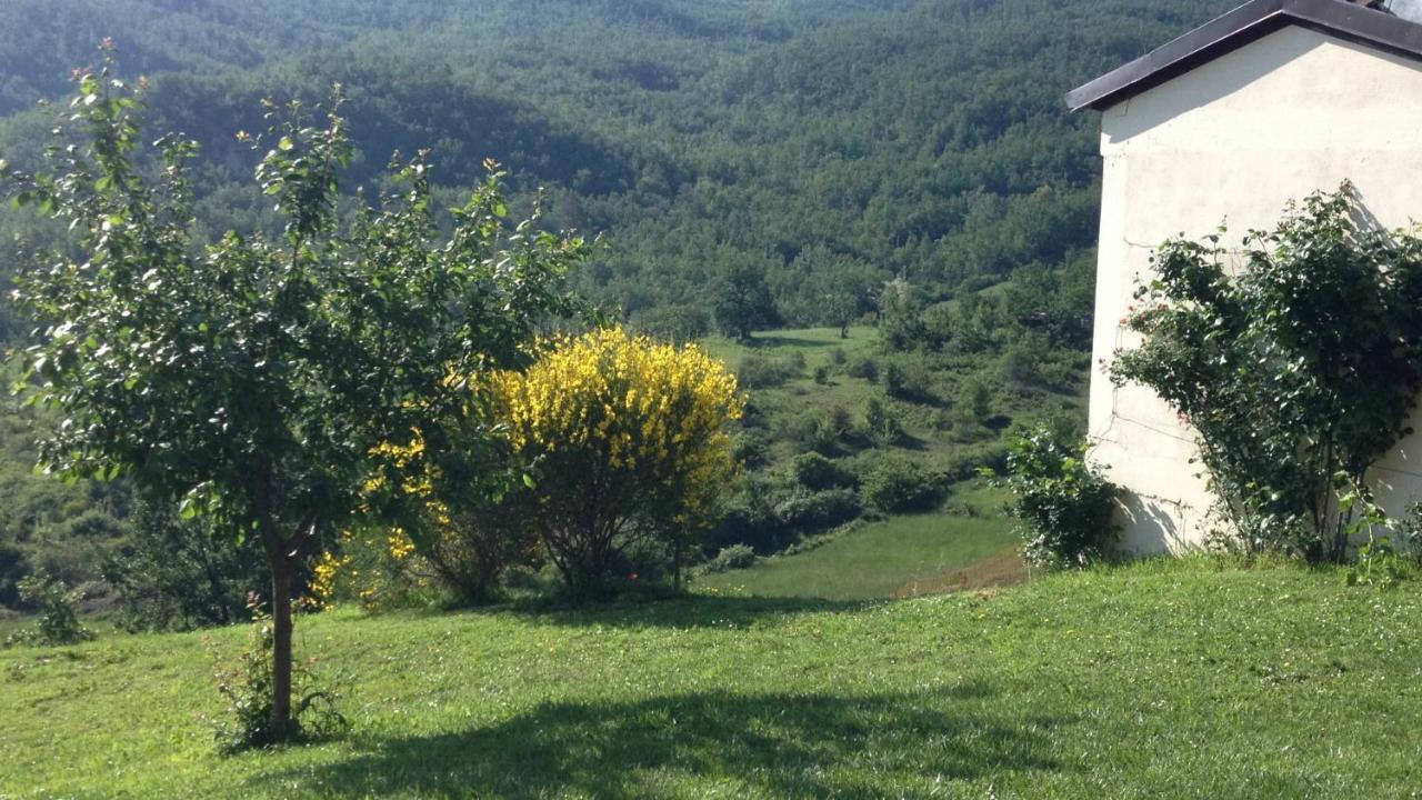 nido d'amore Dernice Esterno foto